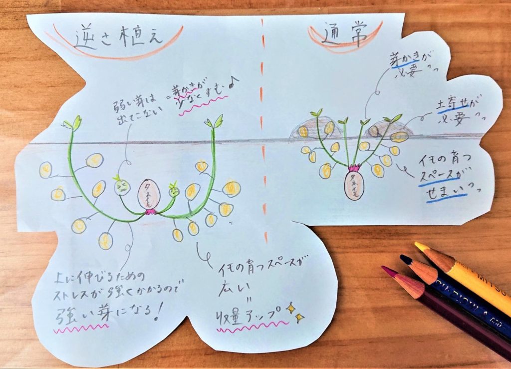 逆さ植えのメリットの図