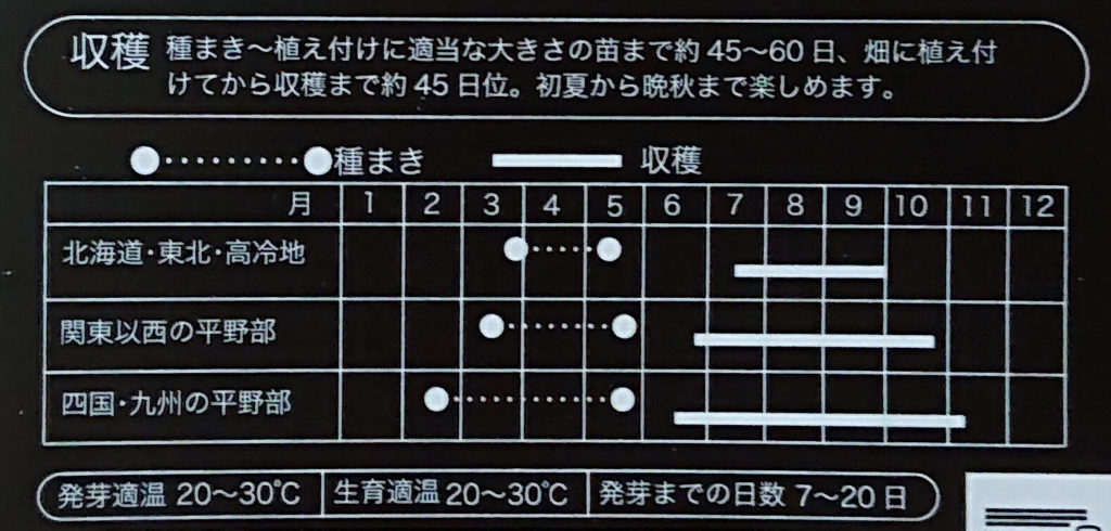 ピーマンのまき時