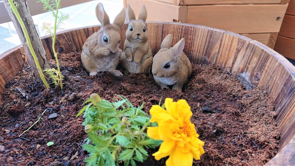 うさぎ 置物 レビュー