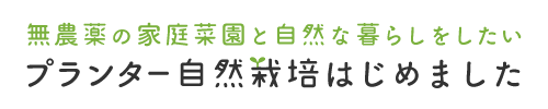 プランター自然栽培はじめました