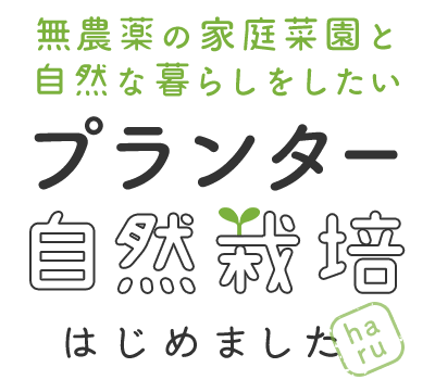 プランター自然栽培はじめました