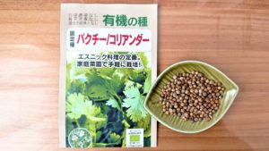 コリアンダー 種まき
