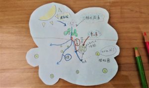 根粒菌とマメ科の関係