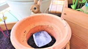 氷とミミズコンポスト