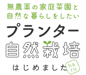 プランター自然栽培はじめました～無農薬の家庭菜園と自然な暮らしをしたい～haru